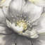 Aminah Floral Wallpaper - For Living Room, Bedroom, Fireplace - Matt Finish, Floral Pattern, Gold-1109429408