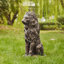 Statue de jardin lion IGO résistante aux intempéries Irizarry-451167768-451167770-451167772