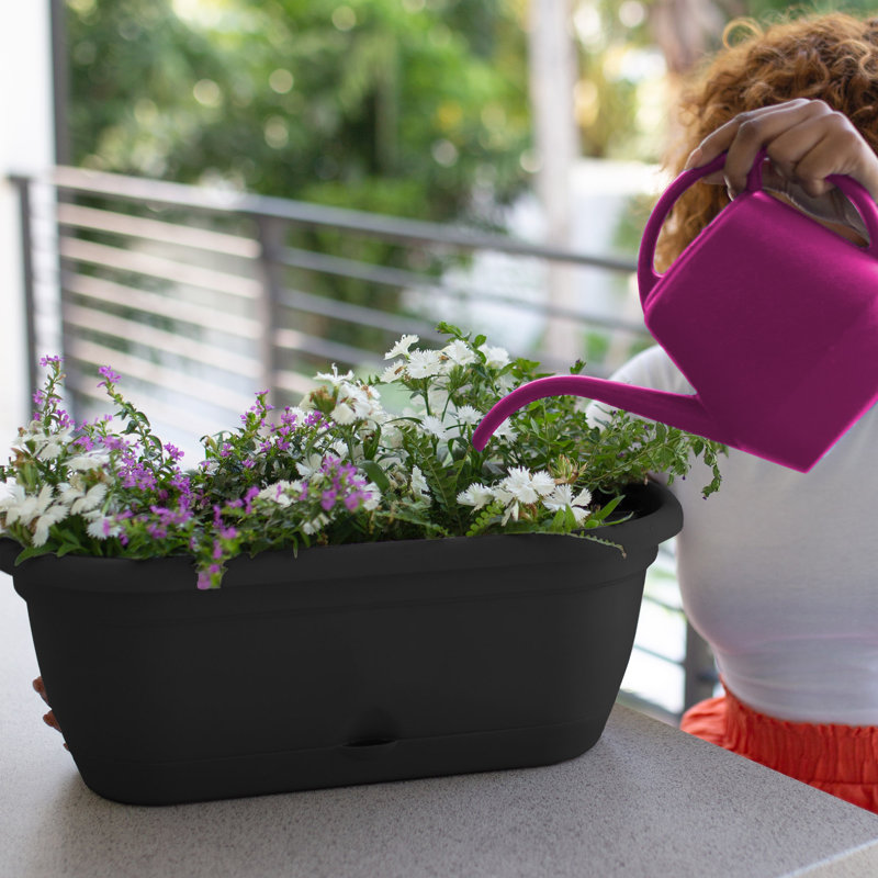 Lucca Self-Watering Plastic Indoor/Outdoor Oval Window Box Planter with Watering Basin, Black