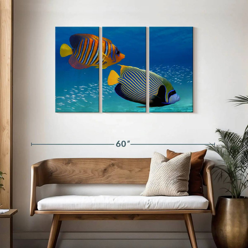 Exotic Emperor Angelfish, 28" H x 45" W