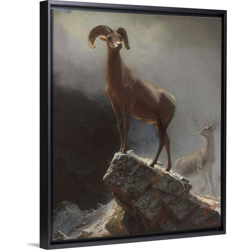 Reproduction d’art sur toile, « OVIS, Montana », « Rocky Mountain Sheep or Big Horn » par Albert (1830-1902) Bierstadt