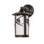 1 - Light Armed Sconce