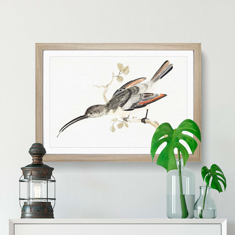 Hummingbird by Johan Teyler - Framed Print, 36cm H x 48cm W x 2cm D, Oak Framed