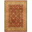 Modn Wool Oriental Area Rug