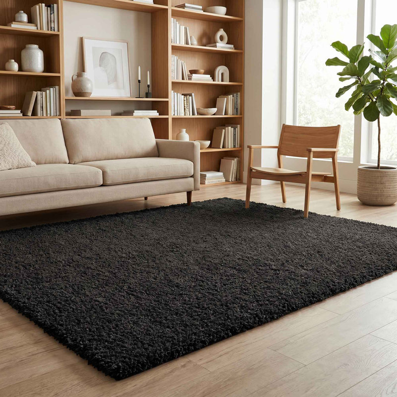Ainsley Plain Living Room Shaggy Area Rug Modern Soft Pile Polyester Rug, Rectangle 60 x 110 cm, Black