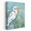 Aigrette - aigrette côtière