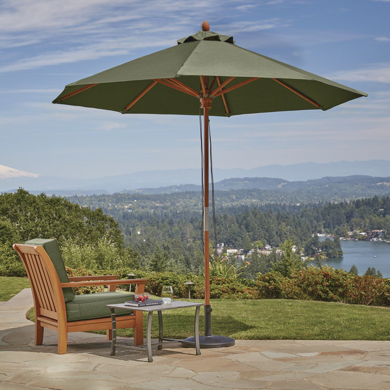 Pina Outdoor Dining Chair Cushion Cover, 5" H x 23" W x 23" D, Fern Green