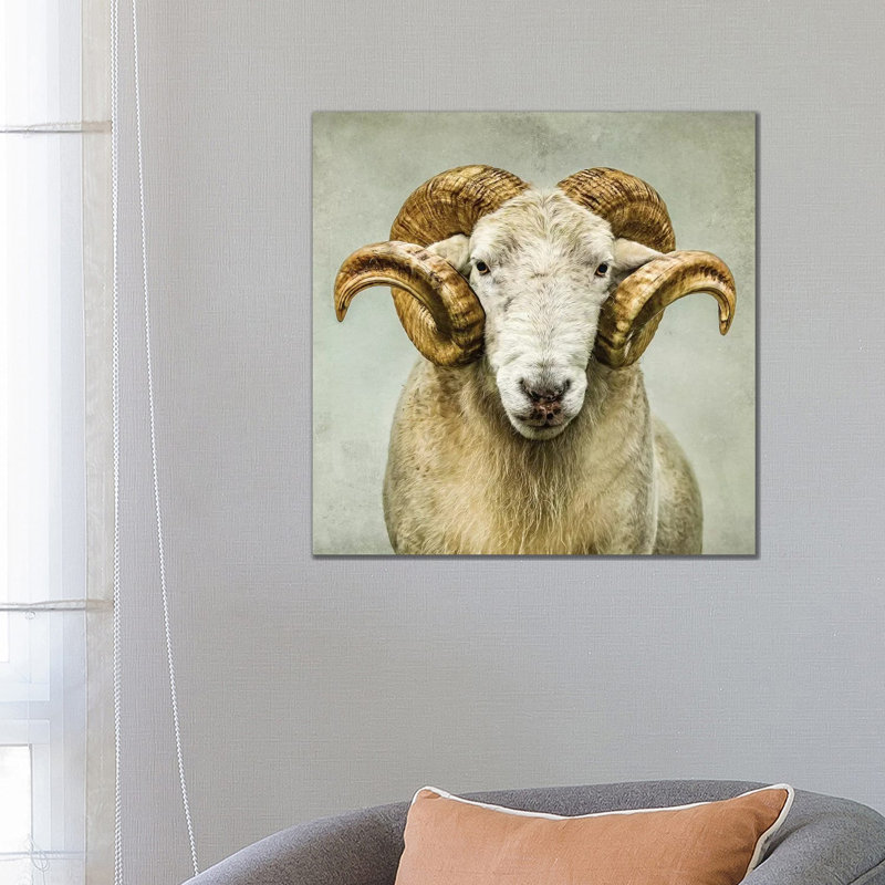 « Stare » par Mark Gemmell-impression d’art graphique, Toile tendue, Pas de tapis, H 26 po x l 26 po x P 1,5 po