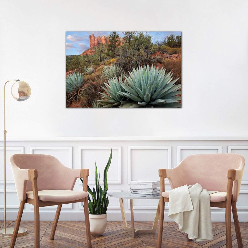 Agave And Coffee Pot Rock Near Sedona, Arizona by Tim Fitzharris - Wrapped Canvas Print, 66.04 cm H x 45.72 cm W x 1.91 cm D