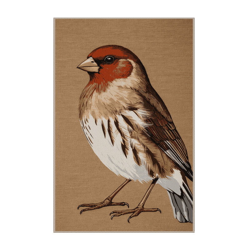 Tapis lavable oiseaux Finch, Rectangle 4pi x 6 pi