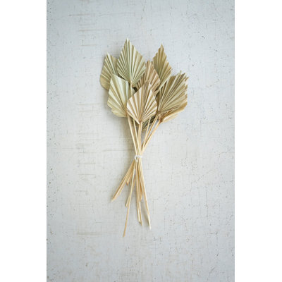 20'' Palm Branch