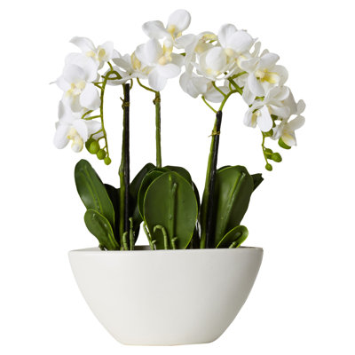 Centre de table orchidée en pot