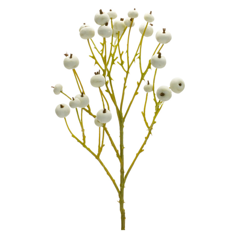 Berry Stems, Bushes, and Sprays