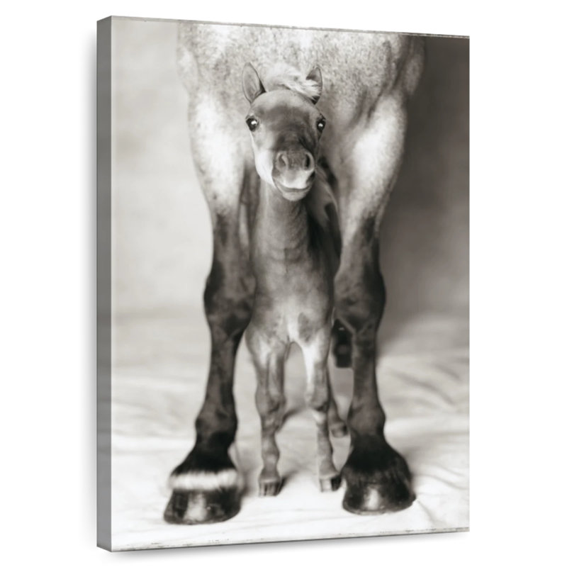 Brampt Jumbo And Nippa, 12" H x 8" W