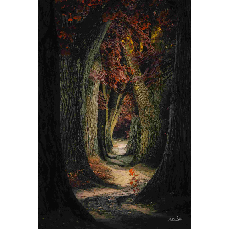 Même chemin ancien, H 18 po x l 12 po, Non, Toile tendue