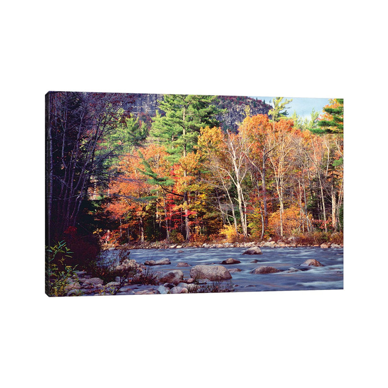 The Swift River During Fall Season, Mountains National Forest by George Oze - Wrapped Canvas Print