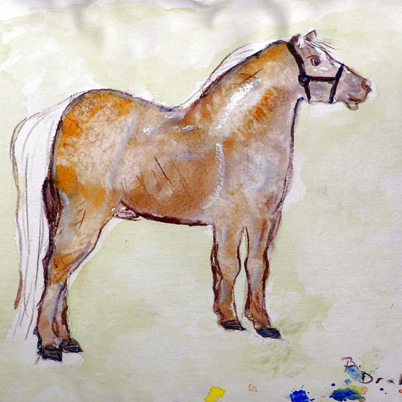 Coussin lombaire intérieur / extérieur Shetland Pony