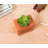 Caine 6'' Faux Succulent in Planter