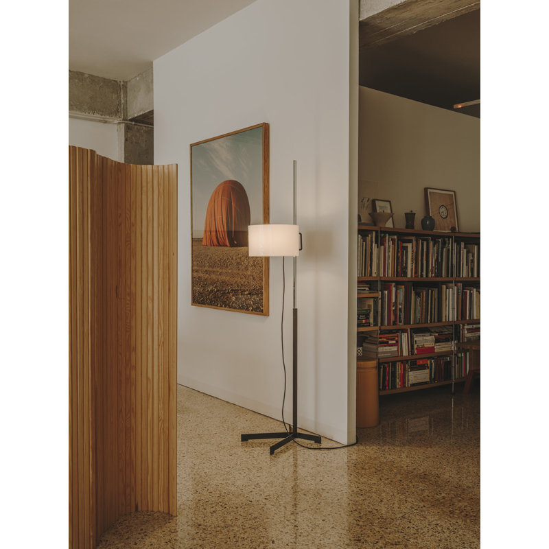 67.3" Floor Lamp