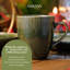 Mikasa Jardin Midnight Stoneware Mugs, 420ml-91338700