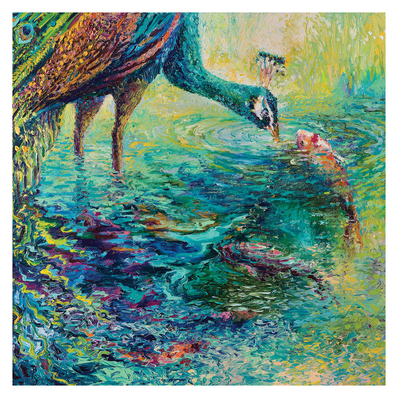 « iris scott-peacock diptych panel ii », peinture sur toile tendue, H 12 po x l 12 po x P 1,5 po