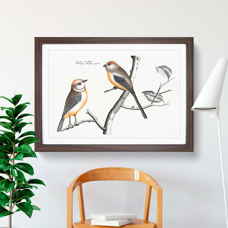 Tail Tit Birds by Johan Teyler - Framed Print, 48cm H x 65cm W x 2cm D, Walnut Framed