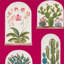 Terrariums Wallpaper-50889024