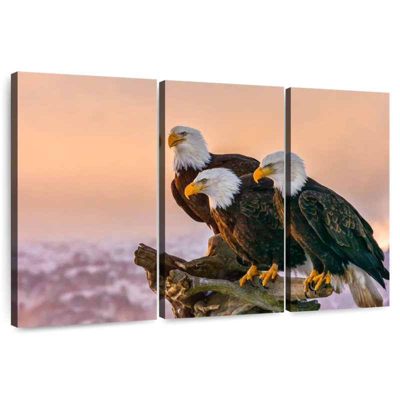 Three American Bald Eagles, 24" H x 38" W