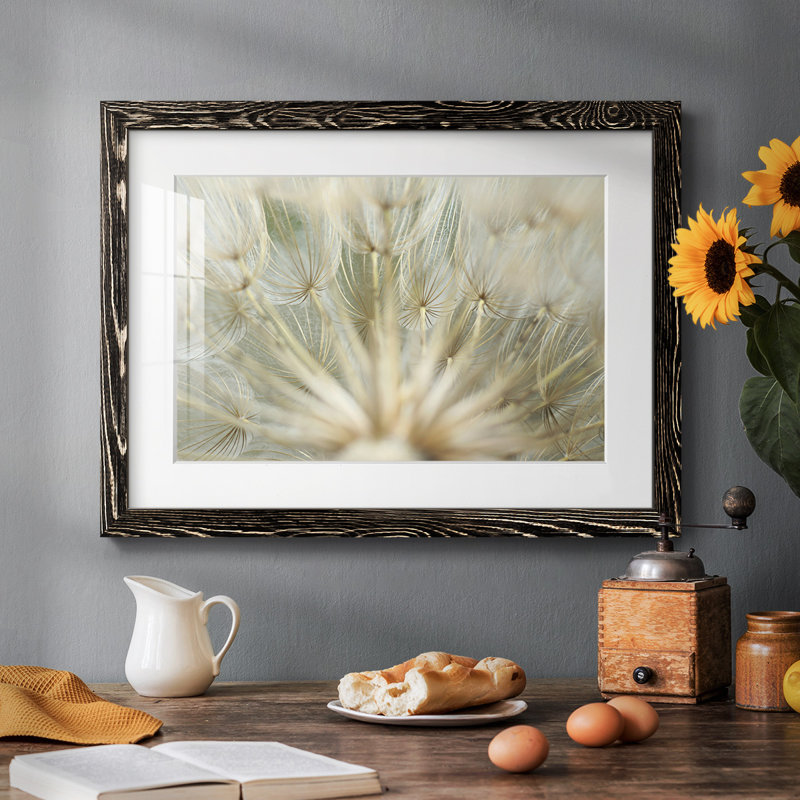 Macro Dandelion IV, reproduction d'art encadrée, Noir, H 14 po x l 20 po x P 1,5 po