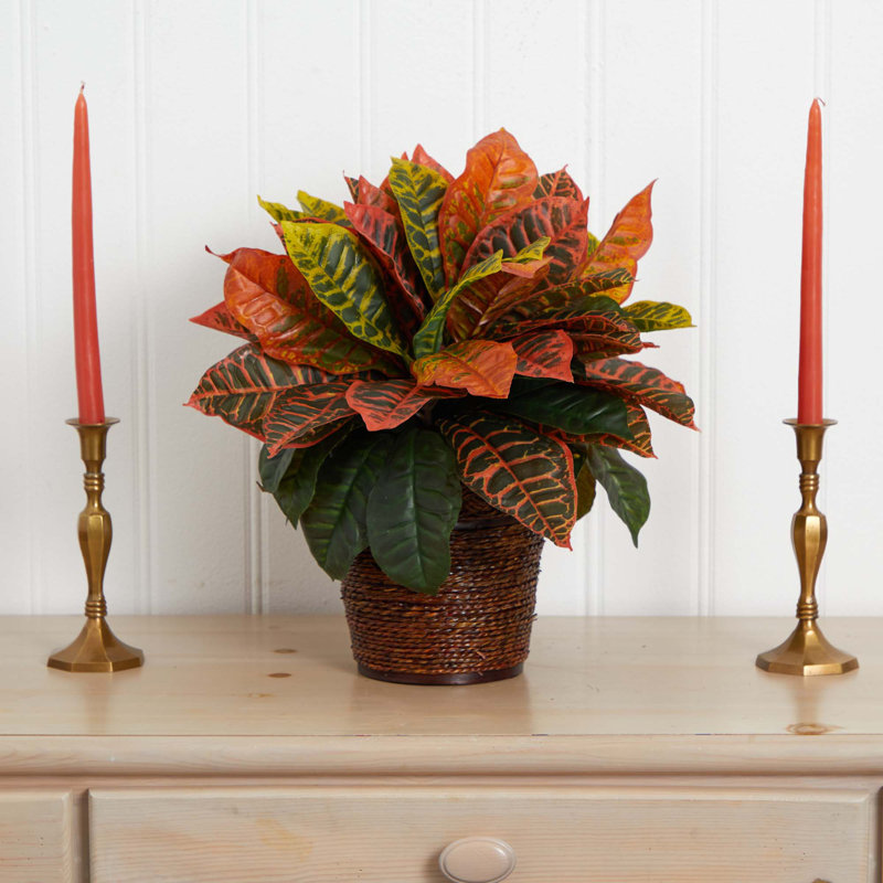17'' Faux Foliage Plant in Wicker Basket