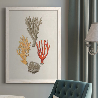 Knorr Shells & Coral IV - Reproduction d'un seul cadre photo sur toile