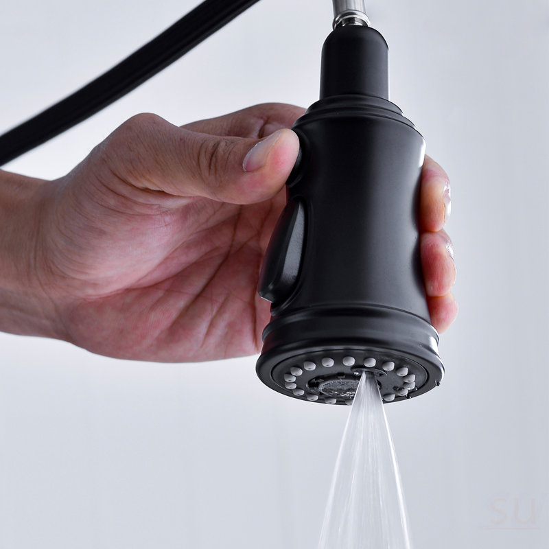 Bridge Kitchen Faucet With Pull-Down Sprayhead In Spot
