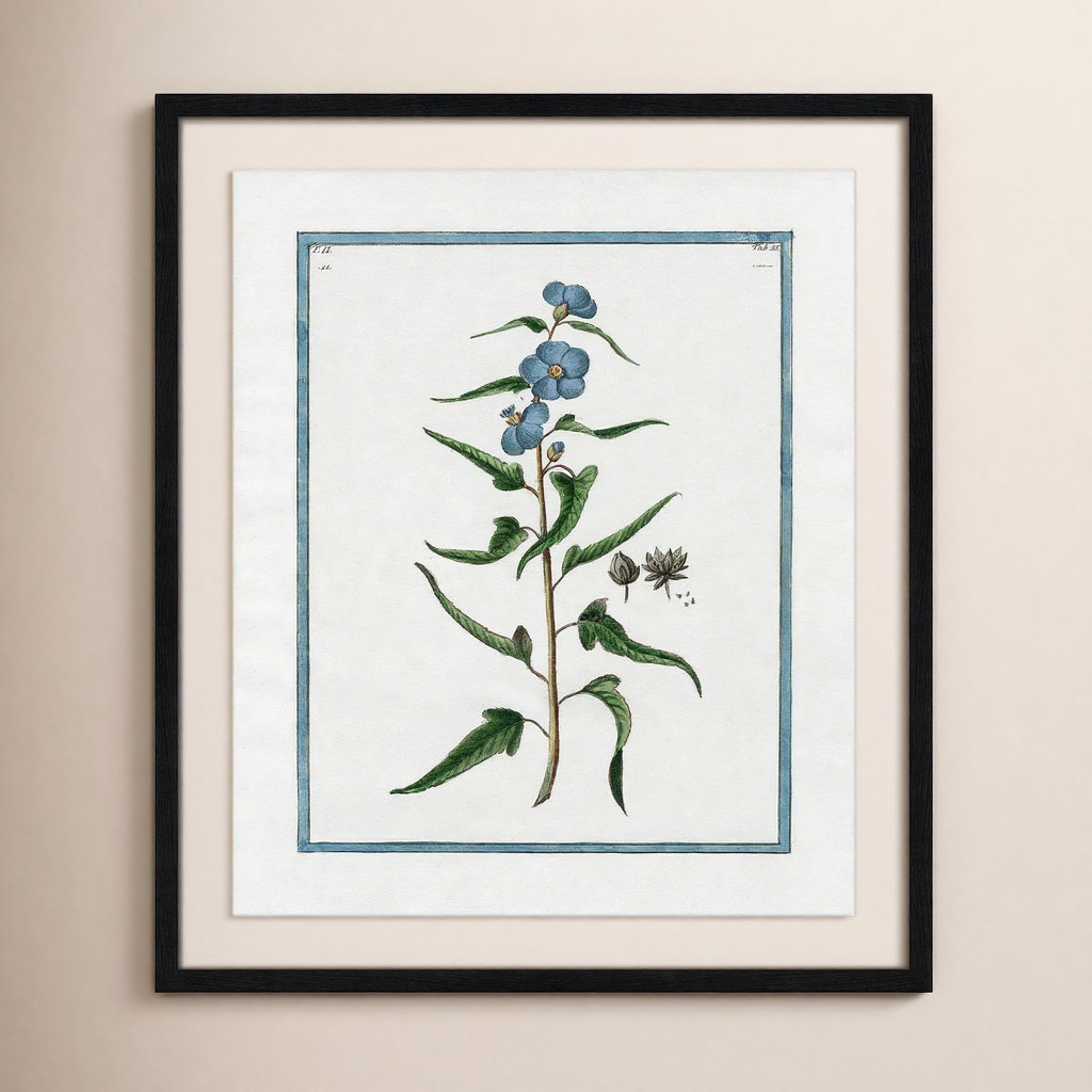 Shabby Elegance Botanical I - Framed Art Full Bleed, Black Framed, 21.5" W x 25.5" H