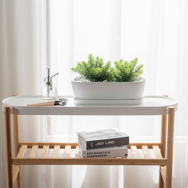 Indoor White Ceramic Succulent Pot Planter