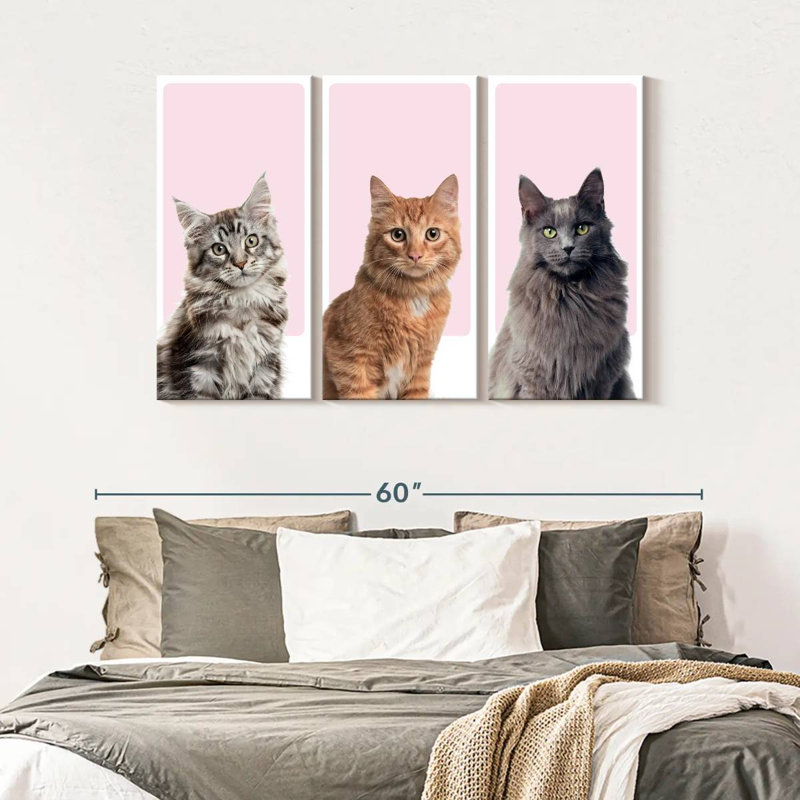 " Cat Breed Colors " 3 - Pieces, 32" H x 50" W x 1.25" D