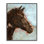  Cheval brun sur estampe numérique par Ethan Harper