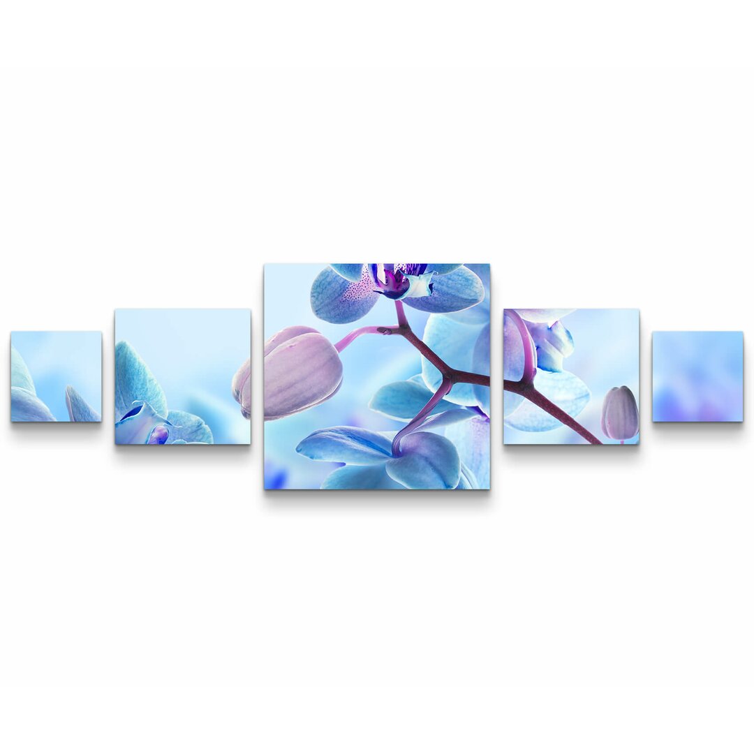 5-tlg. Leinwandbilder-Set Nahaufnahme einer Blaue Orchidee