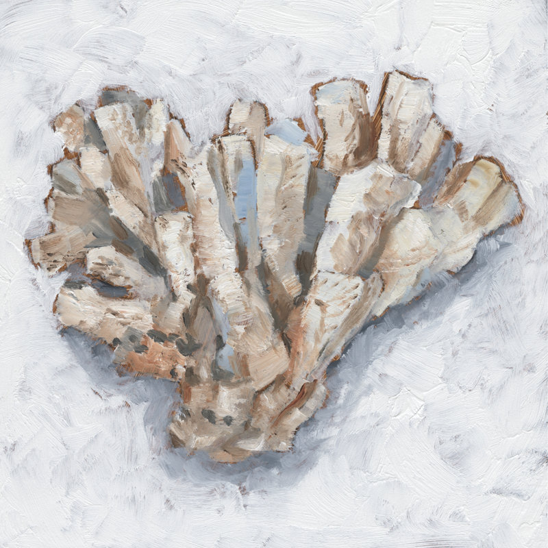 Coral Display IV by Ethan Harper - Wrapped Canvas Painting, 30cm H x 30cm W