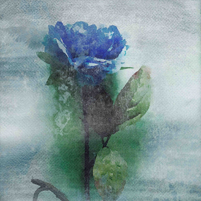 Irena Orlov - Wrapped Canvas Painting, 61cm H x 61cm W x 3.81cm D