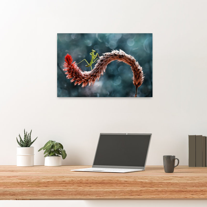 Mante religieuse sur plante courbée - Illustration murale contemporaine délicate et sereine représentant un animal et une fleur