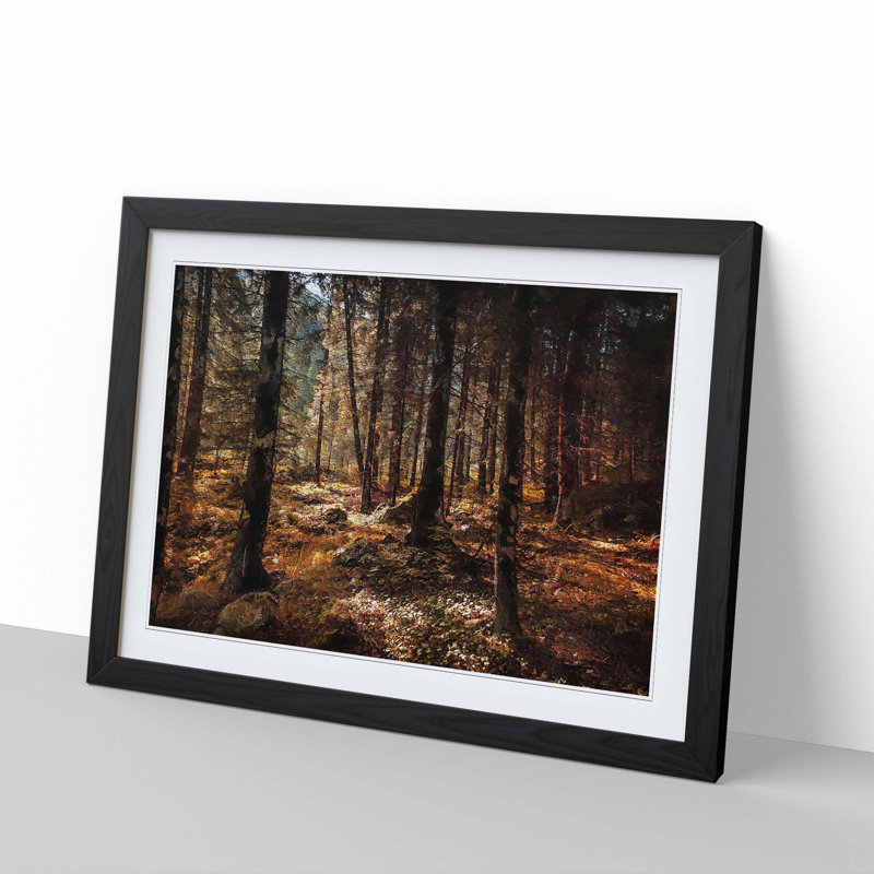 Within the Woods - Framed Print, 48cm H x 65cm W x 2cm D, Black Framed