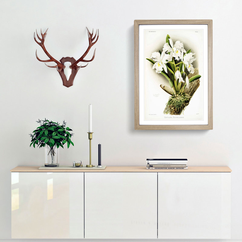 Magnolia Flowers Illustration Tab.85 by Frederick Sander - Picture Frame Art Print, 91cm H x 60cm W x 2cm D, Oak