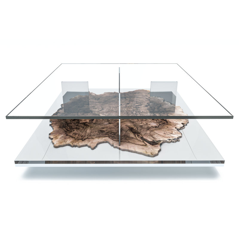 Pandion Walnut Wood Square Coffee Table, 18" H x 55.1" W x 55.1" D