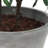 Uttermost Marisol Potted Olive Plant
