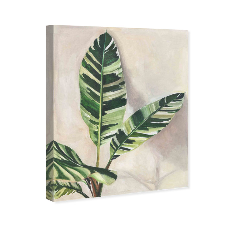 «Nice Plants», impression sur toile tendue, H 20 po x l 16 po x P 0,8 po