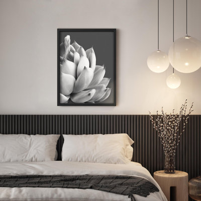 Illustration de petits espaces gris et gris de la plante grasse