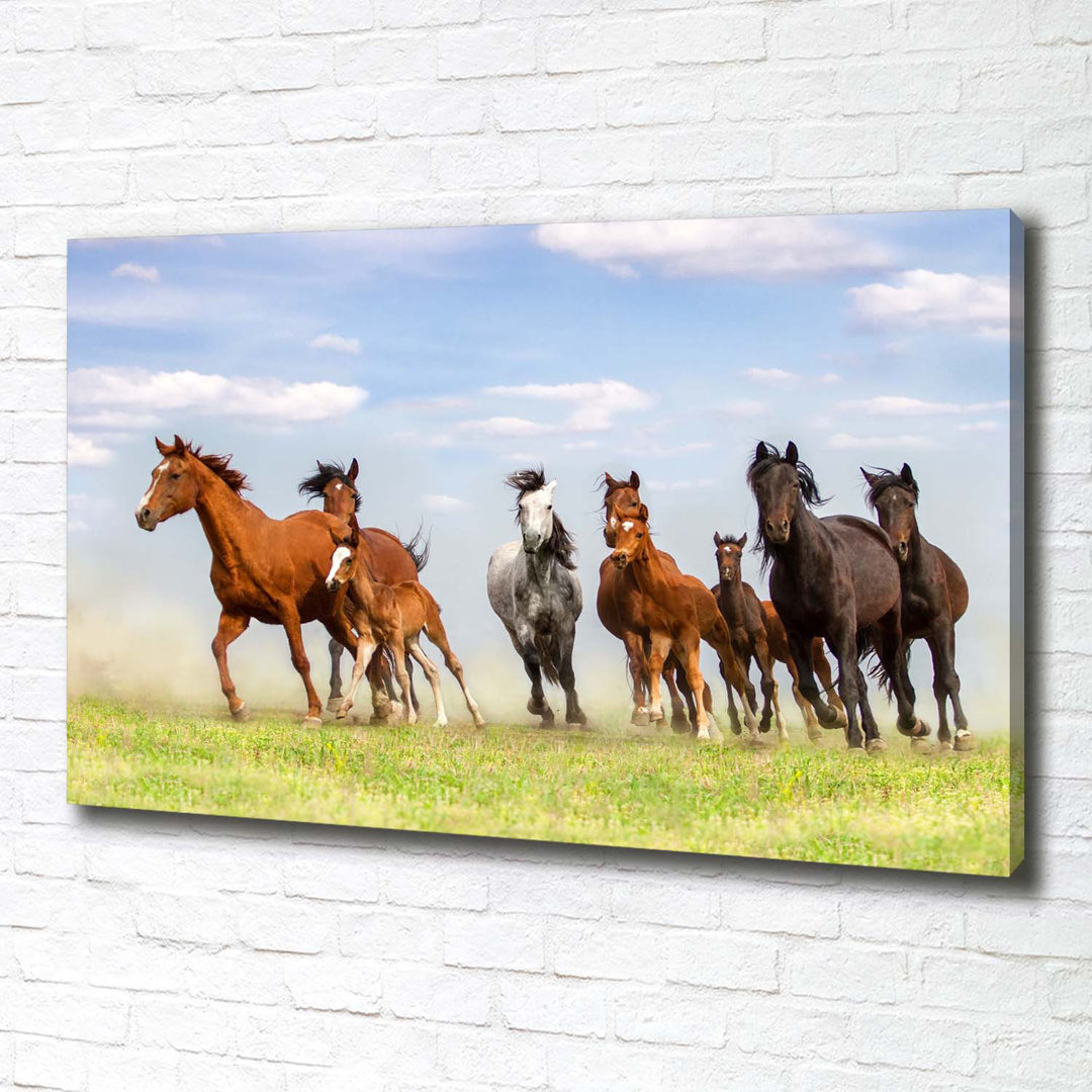 Horses In A Gallop - Wrapped Canvas Print