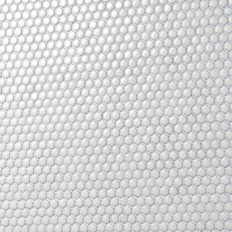 Bliss Edged Hexagon 1" Honeycomb Mosaic Floor & Wall Tile, Vintage White