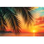 «Palm Beach Sunset», art mural sur toile tendue-129452323