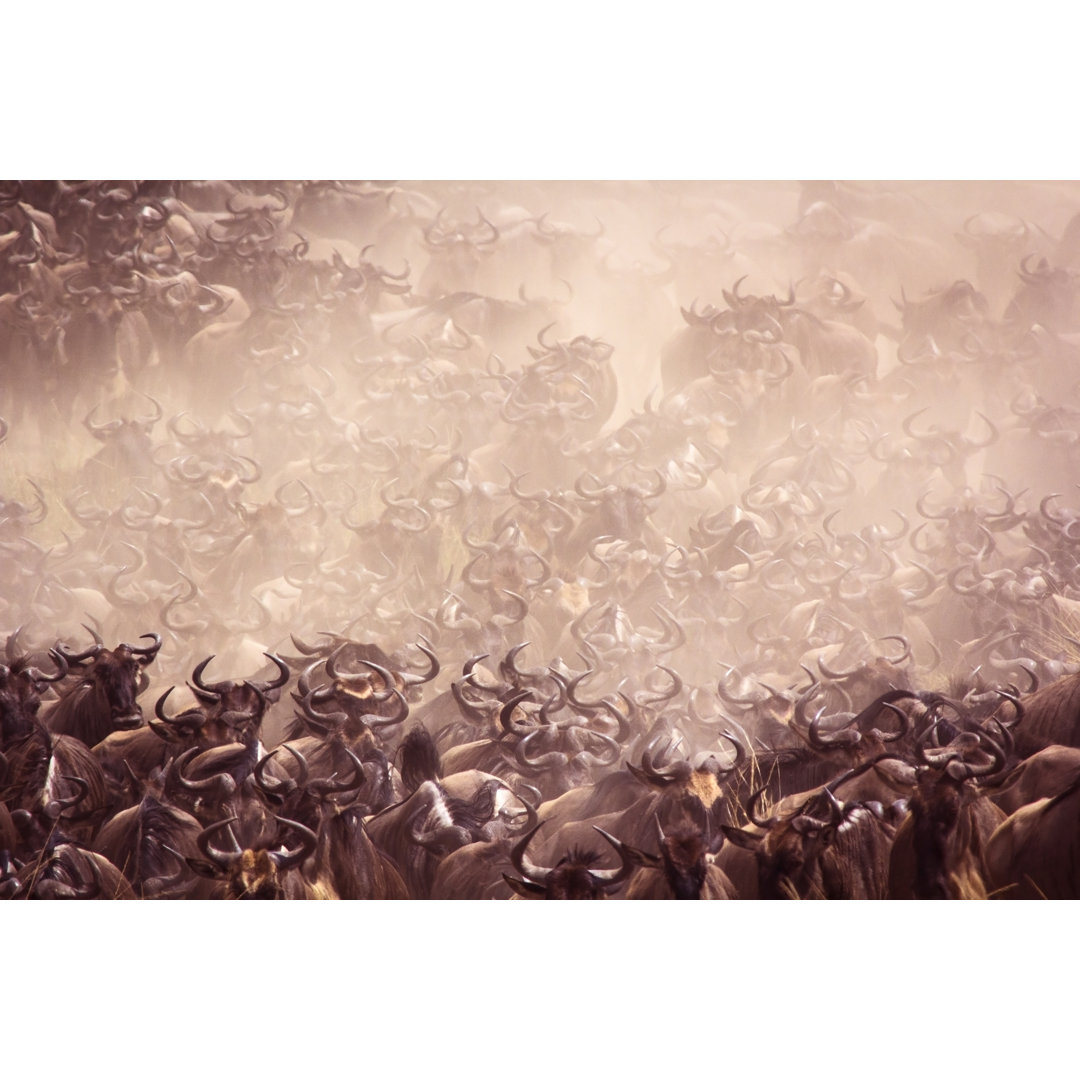 Leinwandbild Wildebeest Migration von WLDavies